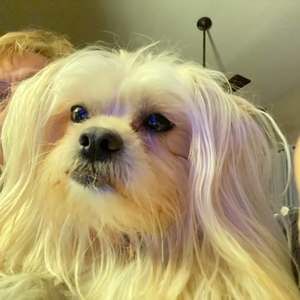 Meet your Posher, Joette